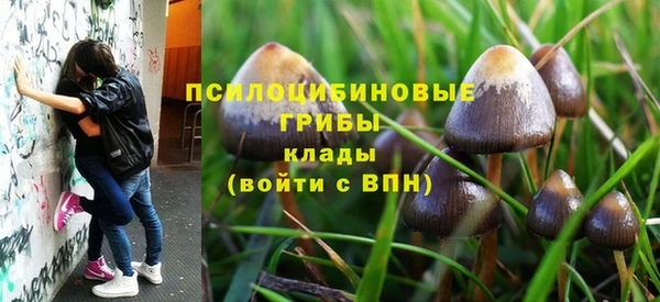 мет Бородино