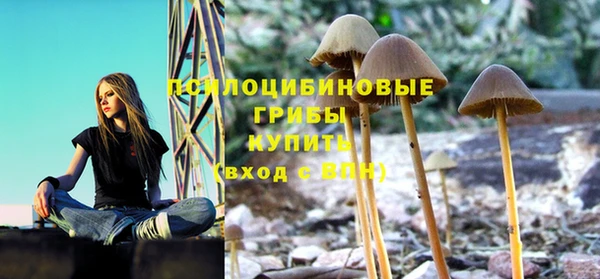 мет Бородино