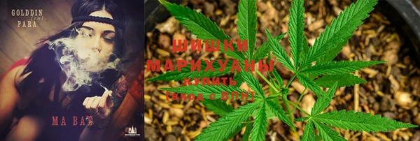 мет Бородино