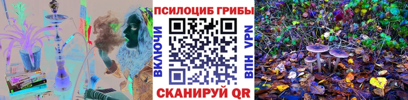 даркнет сайт Северодвинск Галлюциногенные грибы Cubensis